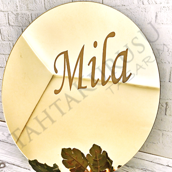 Pleksi ayna Kapısüsü 5